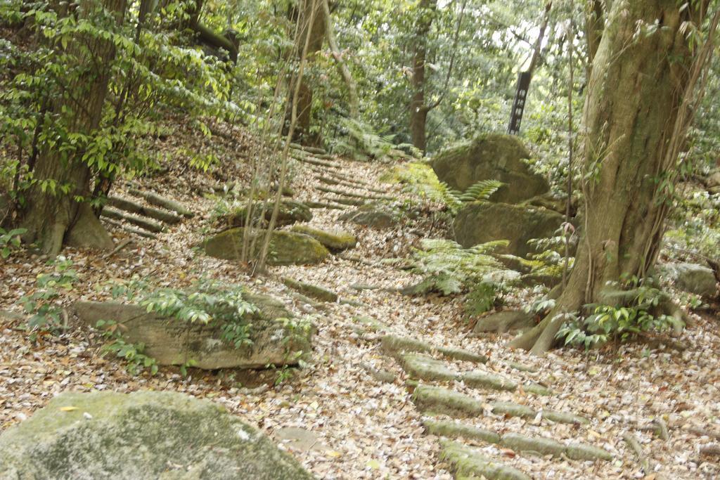 Minshuku Michiyasou Hotel Kirishima Buitenkant foto
